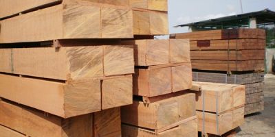 ĐƠN VỊ CUNG CẤP GỖ CƯA XẺ UY TÍN, GIÁ TỐT